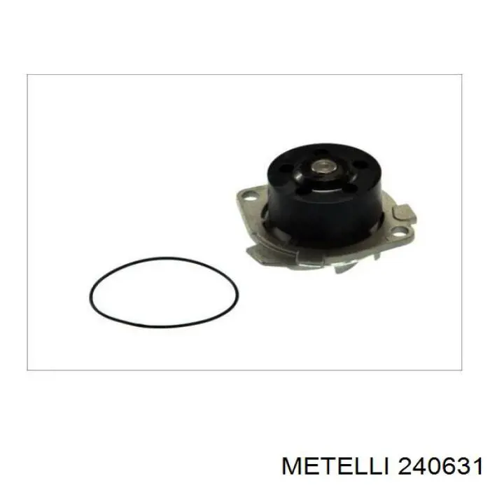 240631 Metelli bomba de agua