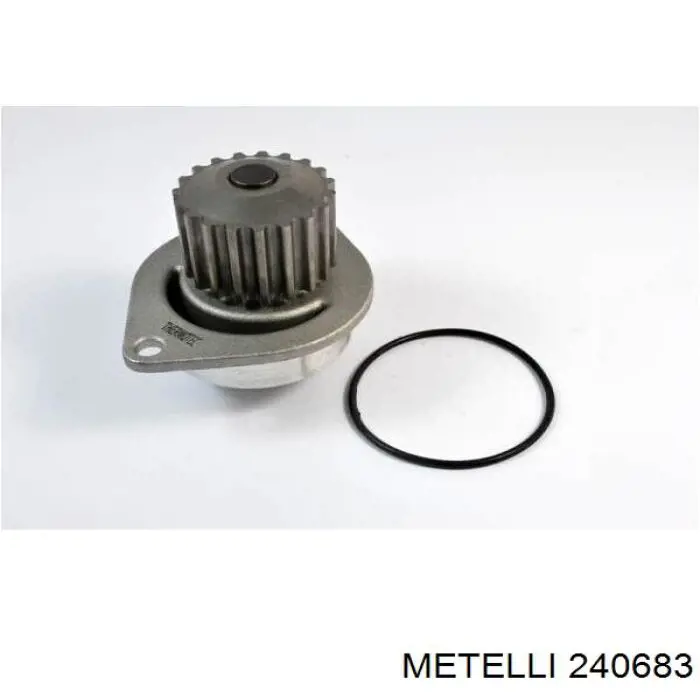 240683 Metelli bomba de agua