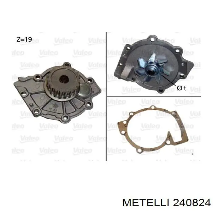 240824 Metelli bomba de agua