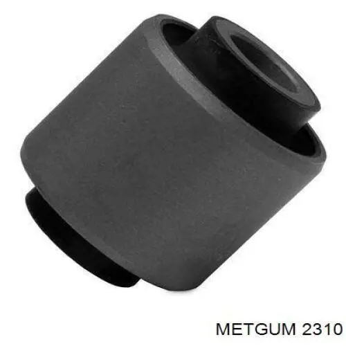 2310 Metgum