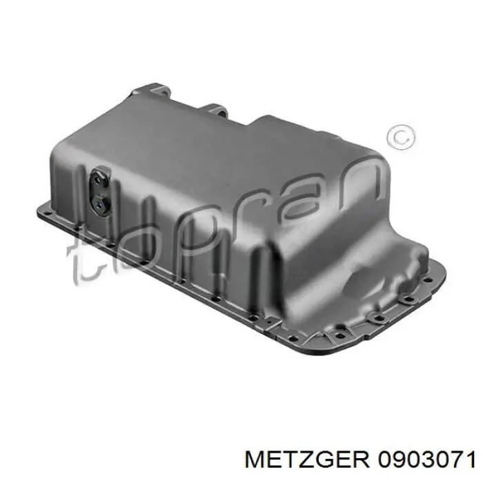 0903071 Metzger sensor de posición del árbol de levas