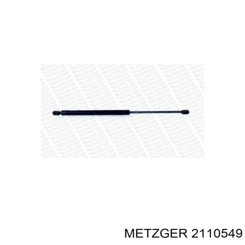 Comprar FP2407535 FPS Amortiguador de puerta trasera