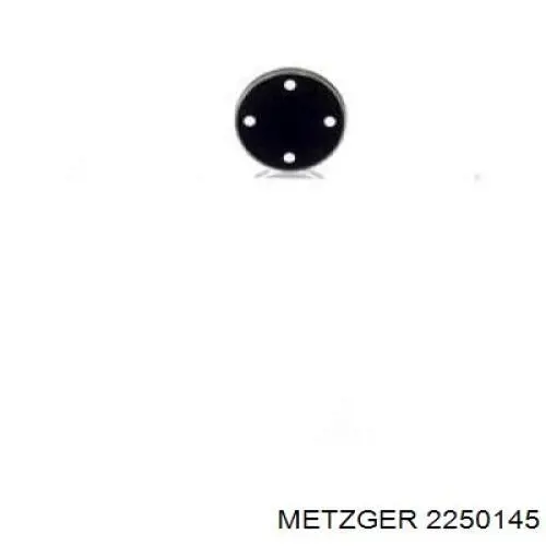 Comprar 12590679 General Motors Empujador de la bomba de combustible