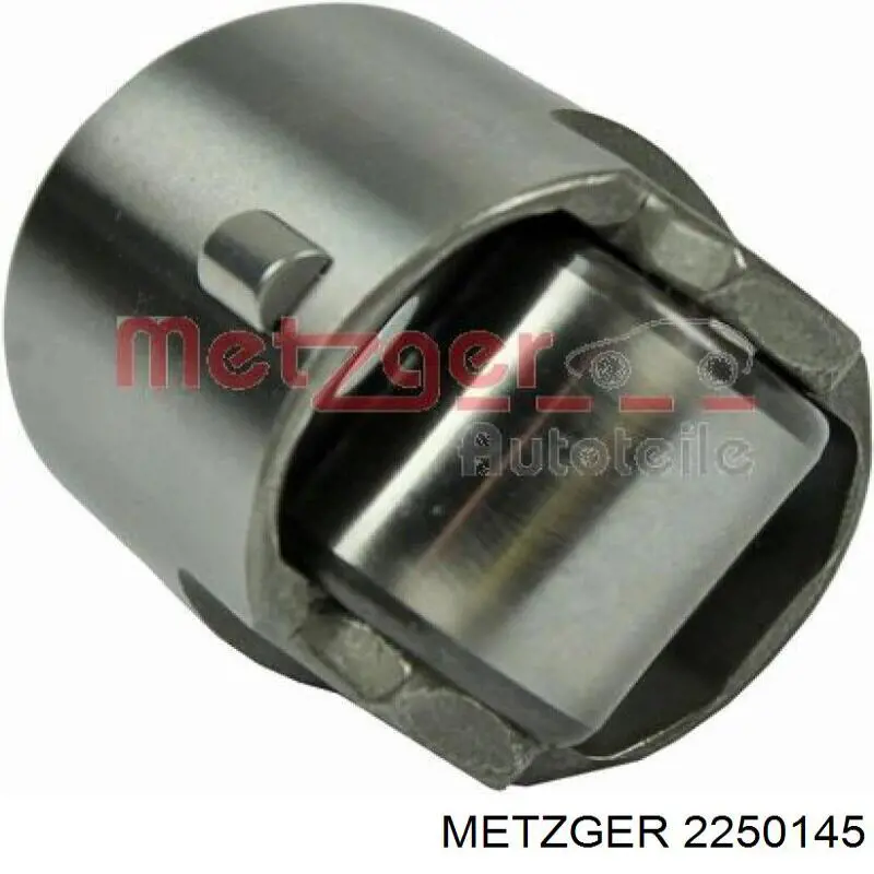 Empujador de la bomba de combustible General Motors 12590679 precio, desde 21,76 EUR