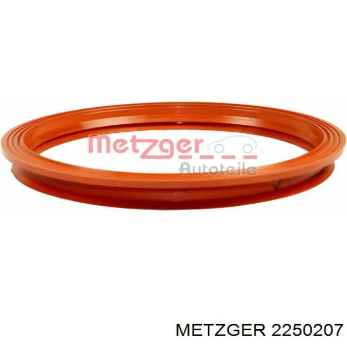 2250207 Metzger junta, sensor de nivel de combustible, bomba de combustible (depósito de combustible)
