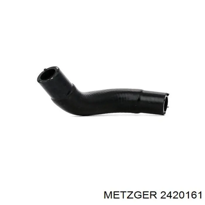 2420161 Metzger