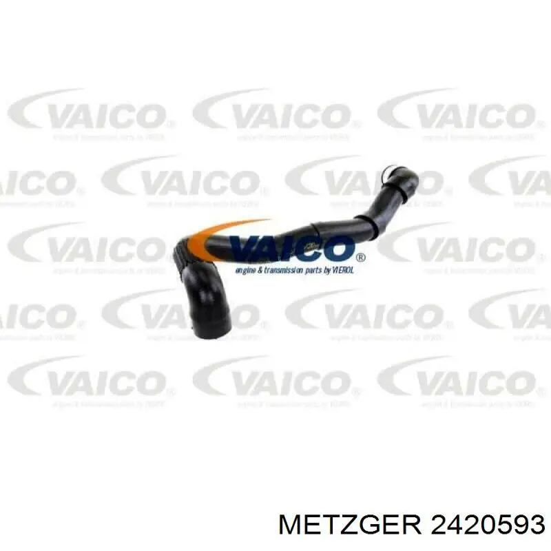 2420593 Metzger manguera refrigerante para radiador inferiora