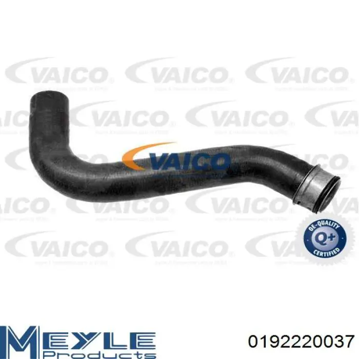 Manguera superior del radiador Meyle 0192220037 precio, desde 22,05 EUR