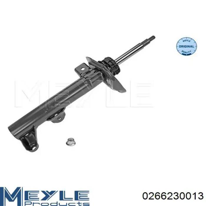 Amortiguadores Raiso RS317556 precio, desde 69,35 EUR