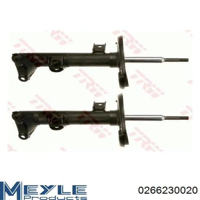 Amortiguador RS317559 Raiso