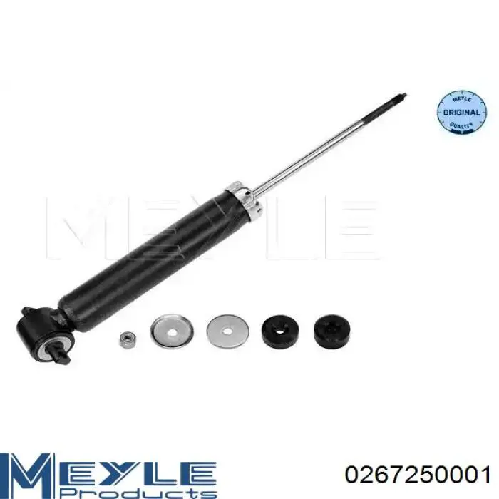 Amortiguador trasero Raiso RS316942 precio, desde 49,10 EUR