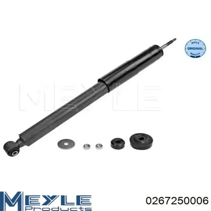 Amortiguador trasero Raiso RS317257 precio, desde 38,12 EUR