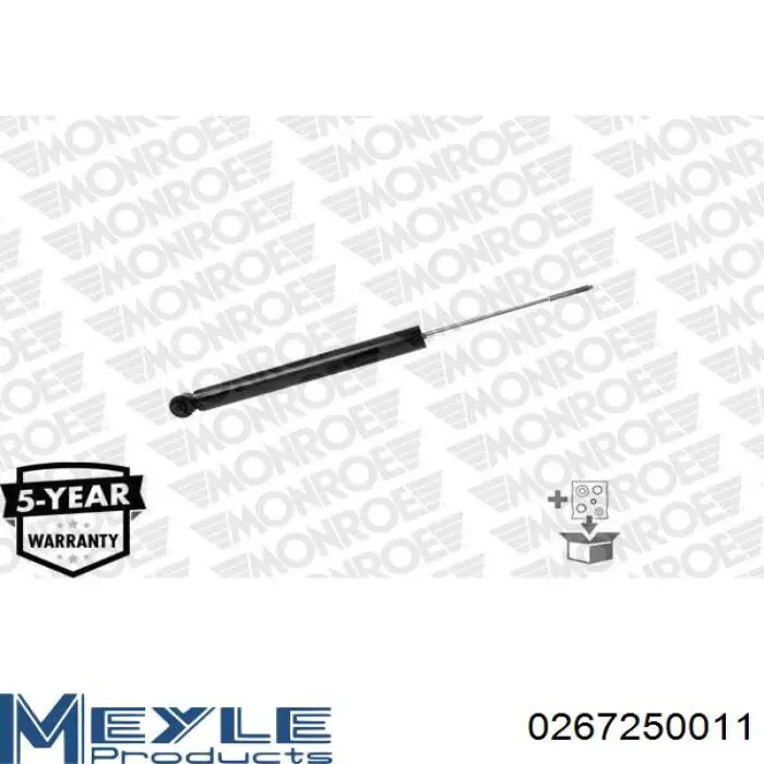 Amortiguador trasero Raiso RS317384 precio, desde 30,51 EUR
