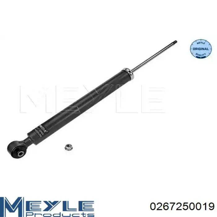 Amortiguador trasero Raiso RS317266 precio, desde 37,08 EUR