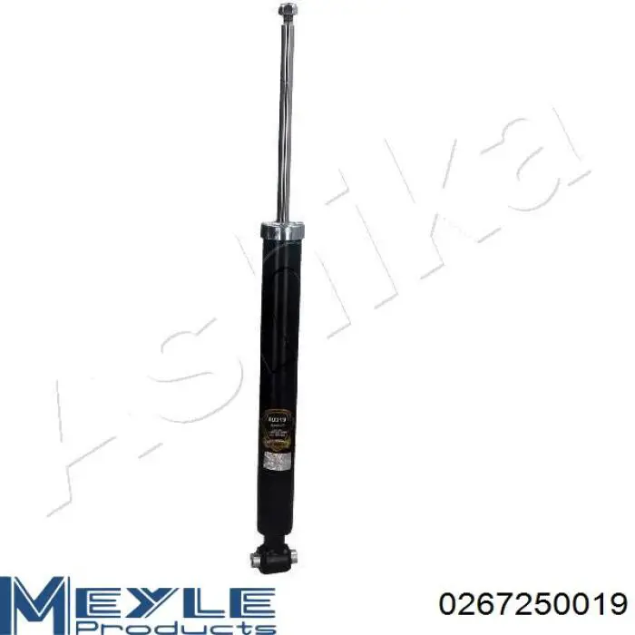 Comprar RS317266 Raiso Amortiguador trasero