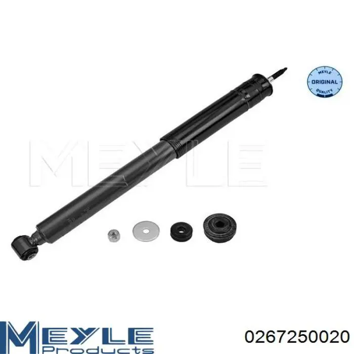 Amortiguador trasero Raiso RS317337 precio, desde 28,14 EUR