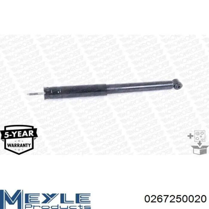 Comprar RS317337 Raiso Amortiguador trasero