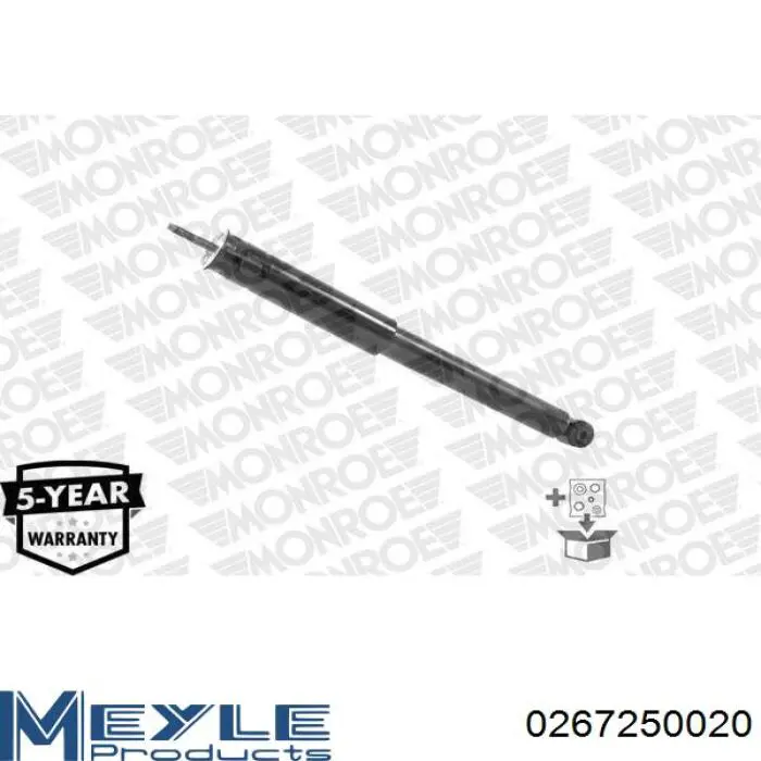 RS317337 Raiso Amortiguadores posteriores