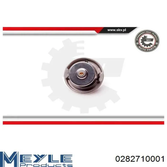 Termostato 1002000515 Mercedes