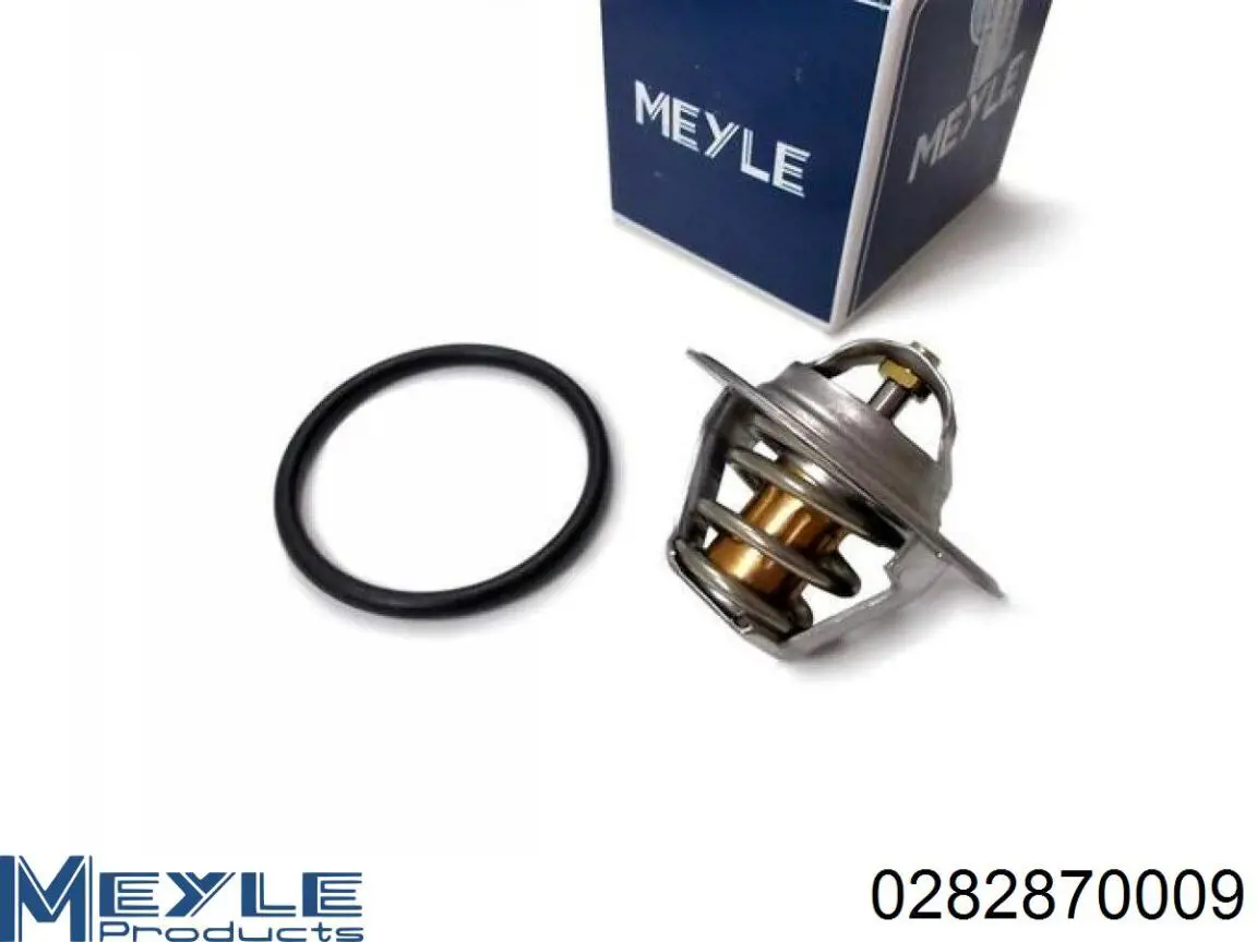 Comprar 28020040032 Continental/Siemens Termostato
