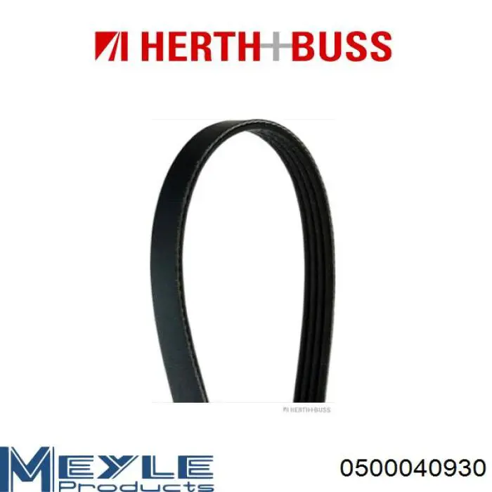 FS0518381 Mazda Correa poly v
