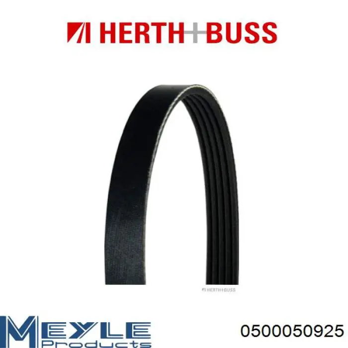 Comprar 71749418 Fiat/Alfa/Lancia Correa trapezoidal