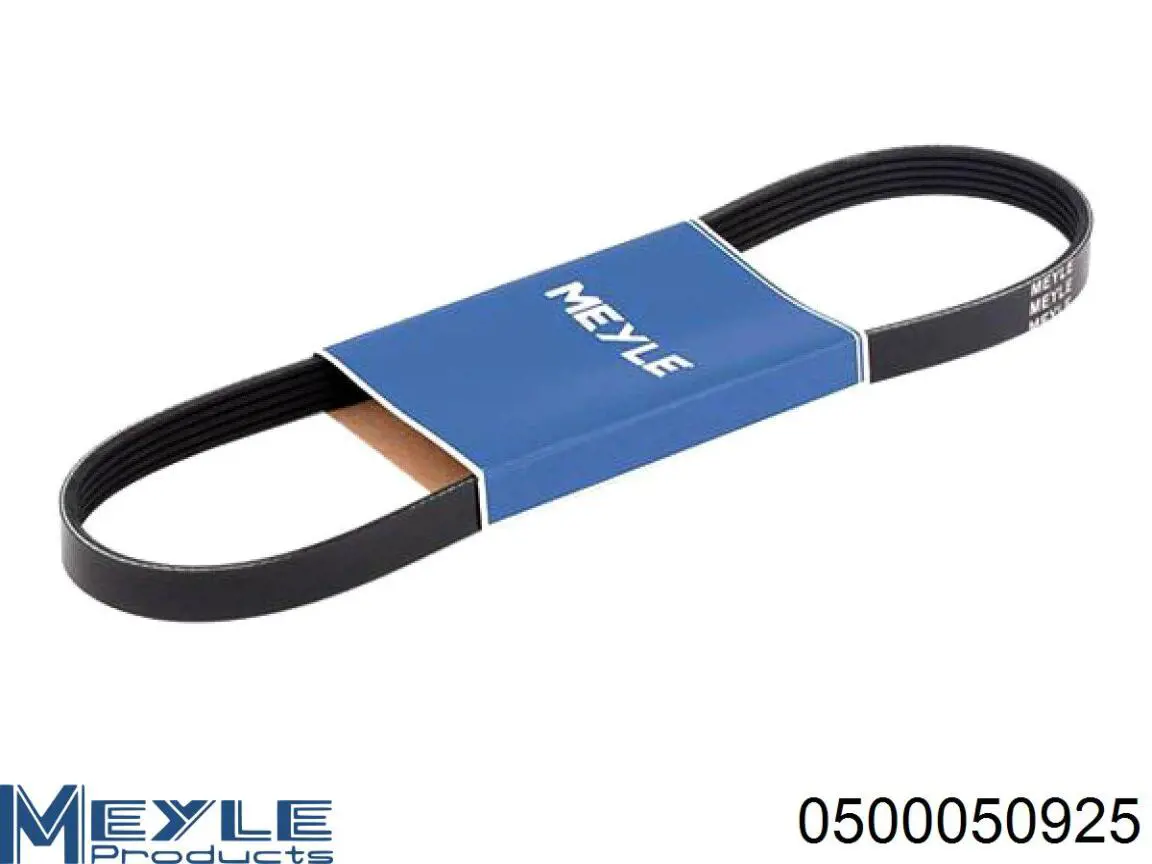 Correa de transmisión trapezoidal Fiat/Alfa/Lancia 71749418 precio, desde 9,66 EUR