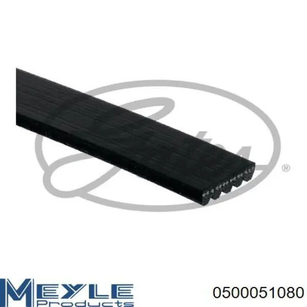 Correa de alternador 5PK1080 Continental/Siemens