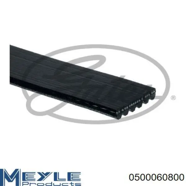 Correa de transmisión trapezoidal BGA 6PK803 precio, desde 9,54 EUR