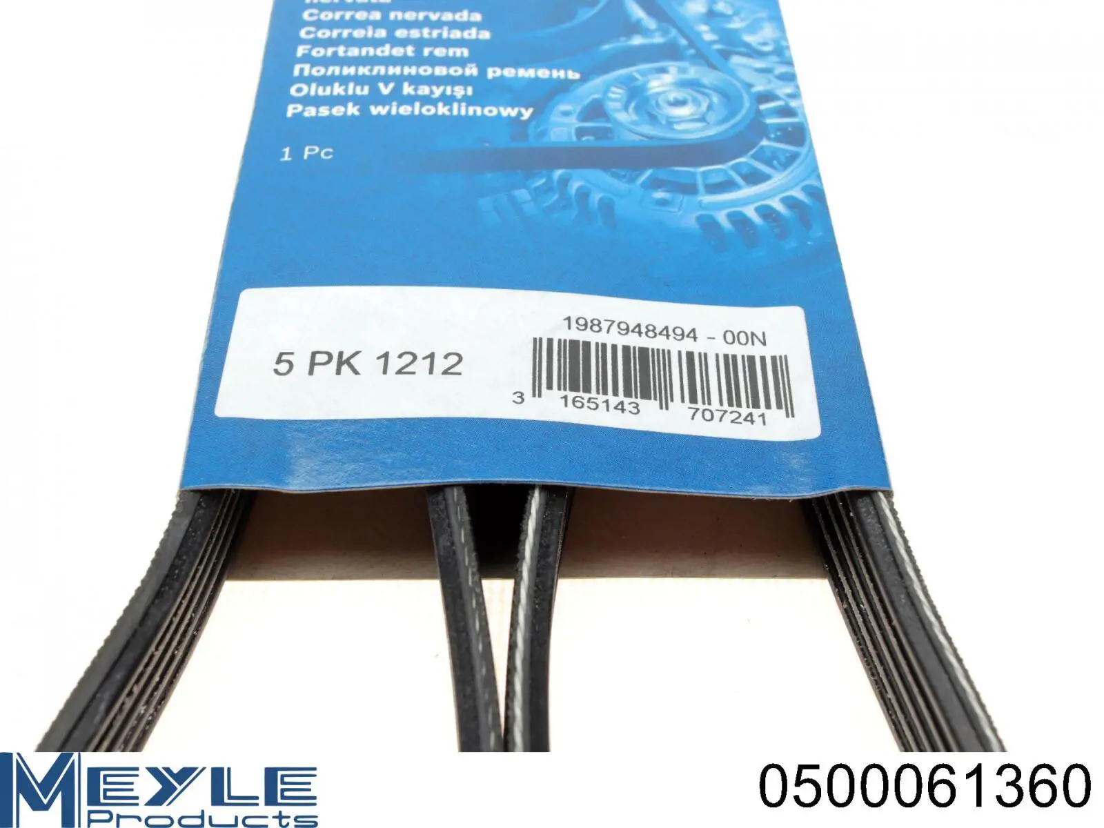 55568858 Opel Correa poly v