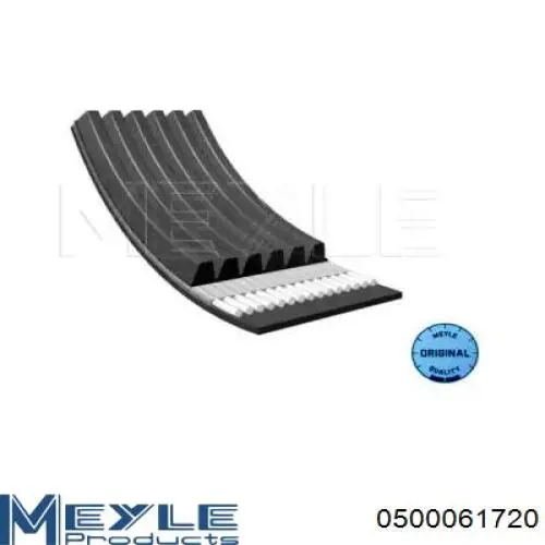 55566900 General Motors Correa poly v