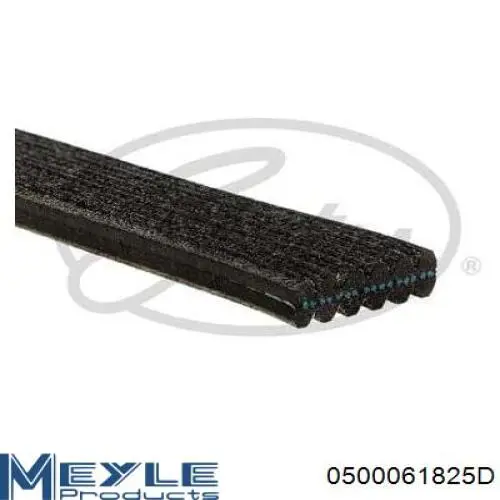 Correa de transmisión trapezoidal Volvo 30731862 precio, desde 27,38 EUR