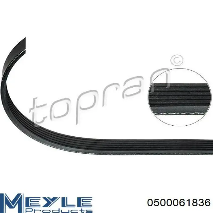 6PK1835 Bando Correa poly v