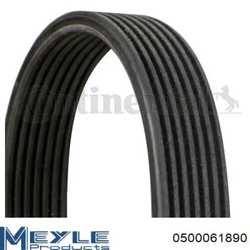 Correa de alternador 25185148 General Motors