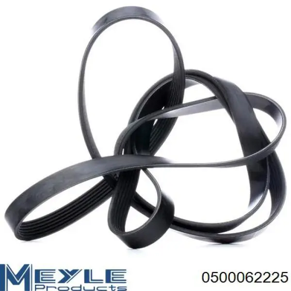 Correa de alternador 9091602464 Toyota