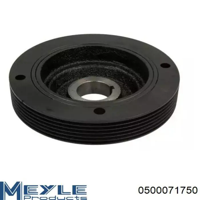 Correa de alternador 117205X00A Renault (RVI)