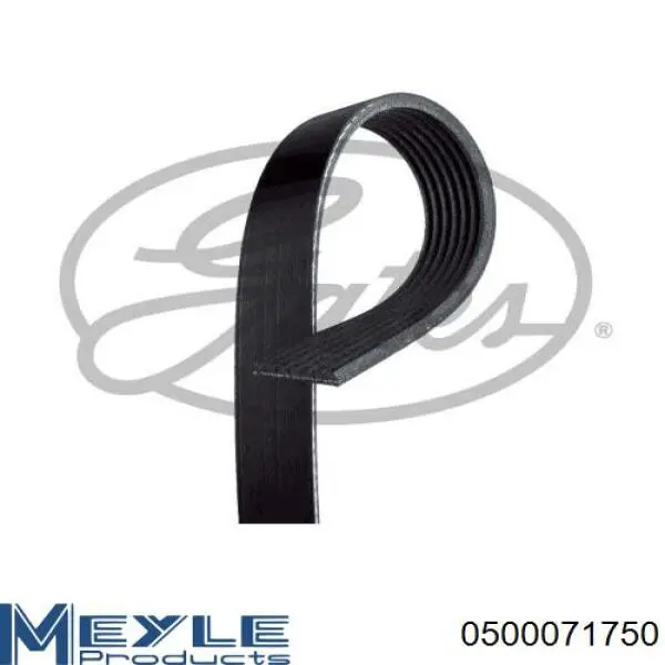 Correa de transmisión trapezoidal Renault (RVI) 117205X00A precio, desde 23,28 EUR