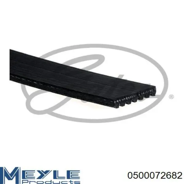 Correa de alternador 1440086 Ford