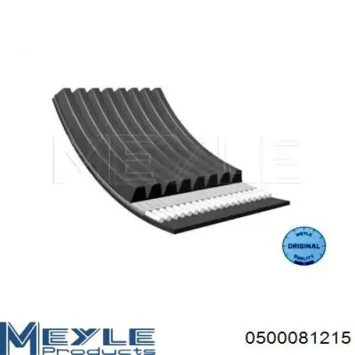 Correa de alternador 8PK1215 Continental/Siemens