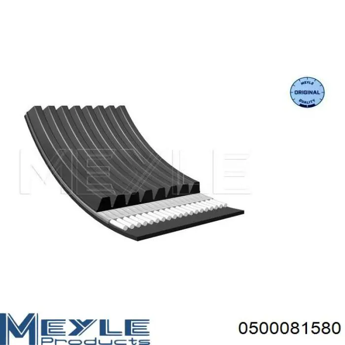 8PK1575 Dayco Correa poly v