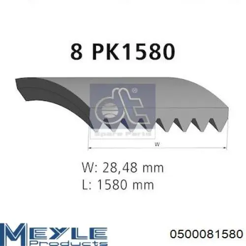 Correa de transmisión trapezoidal Dayco 8PK1575 precio, desde 30,34 EUR