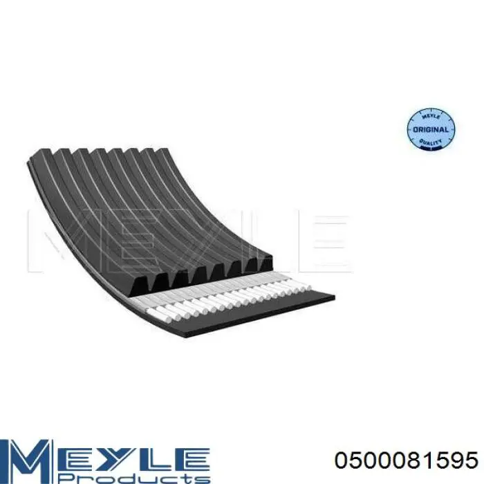 8PK1600HD Dayco Correa poly v