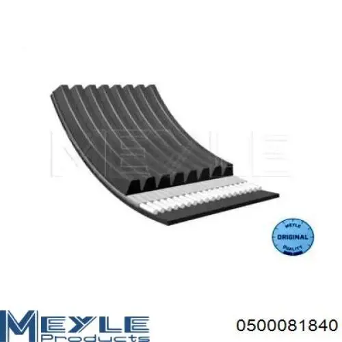 0500081840 Meyle correa trapezoidal