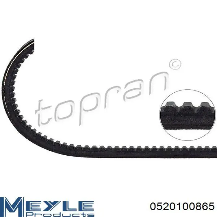 AV10X865 Michelin Correa poly v