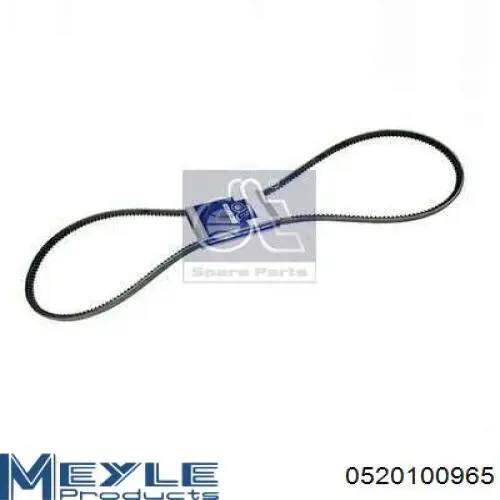 11A0965C Dayco Correa poly v