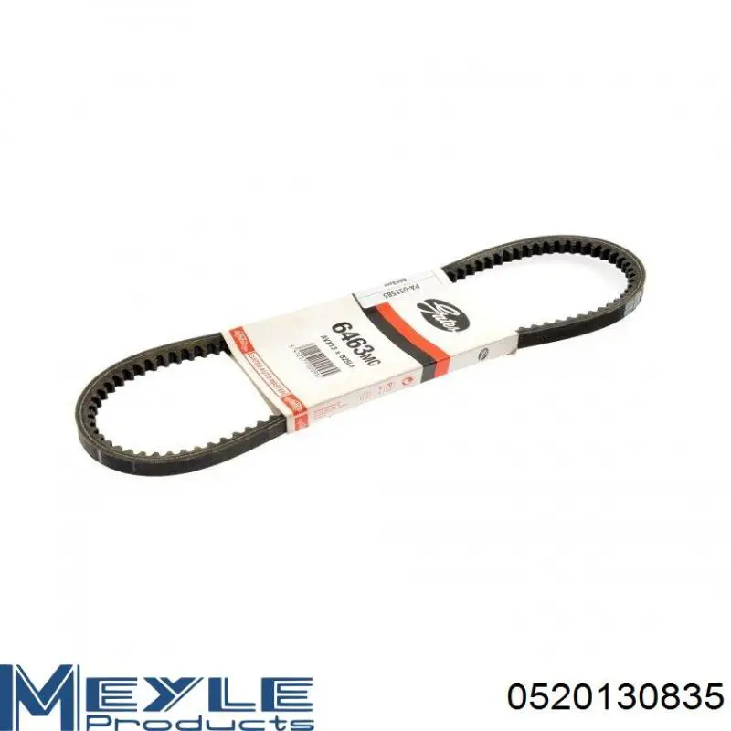 Correa de alternador 13A0820C Dayco