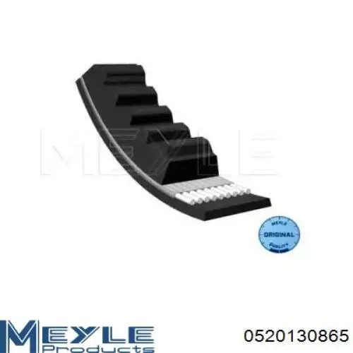 Correa de alternador 13A0865C Dayco