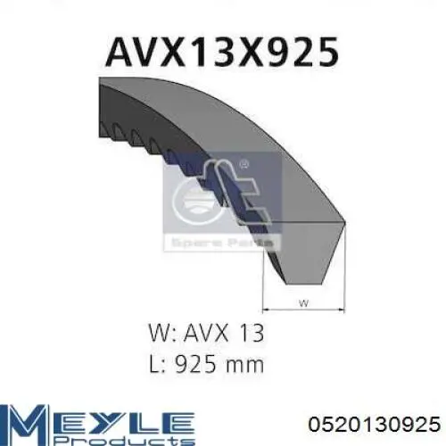 AV13X950 Michelin Correa poly v