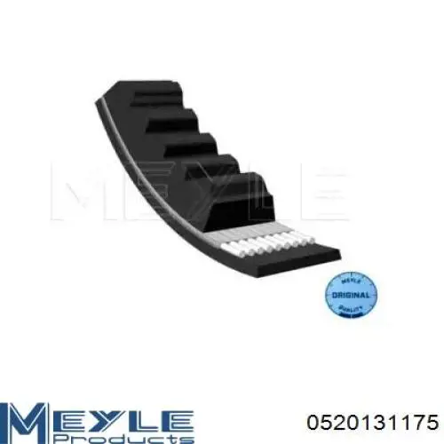 Correa de alternador 13X1175 Dayco