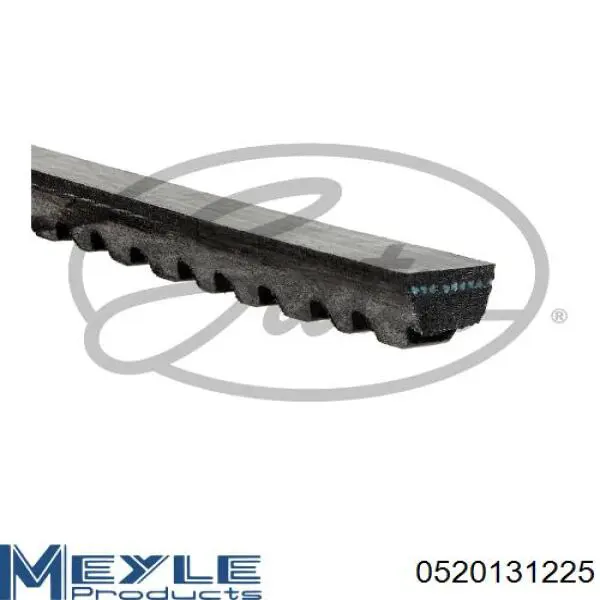 Correa de transmisión trapezoidal INA FB13X1225 precio, desde 7,21 EUR